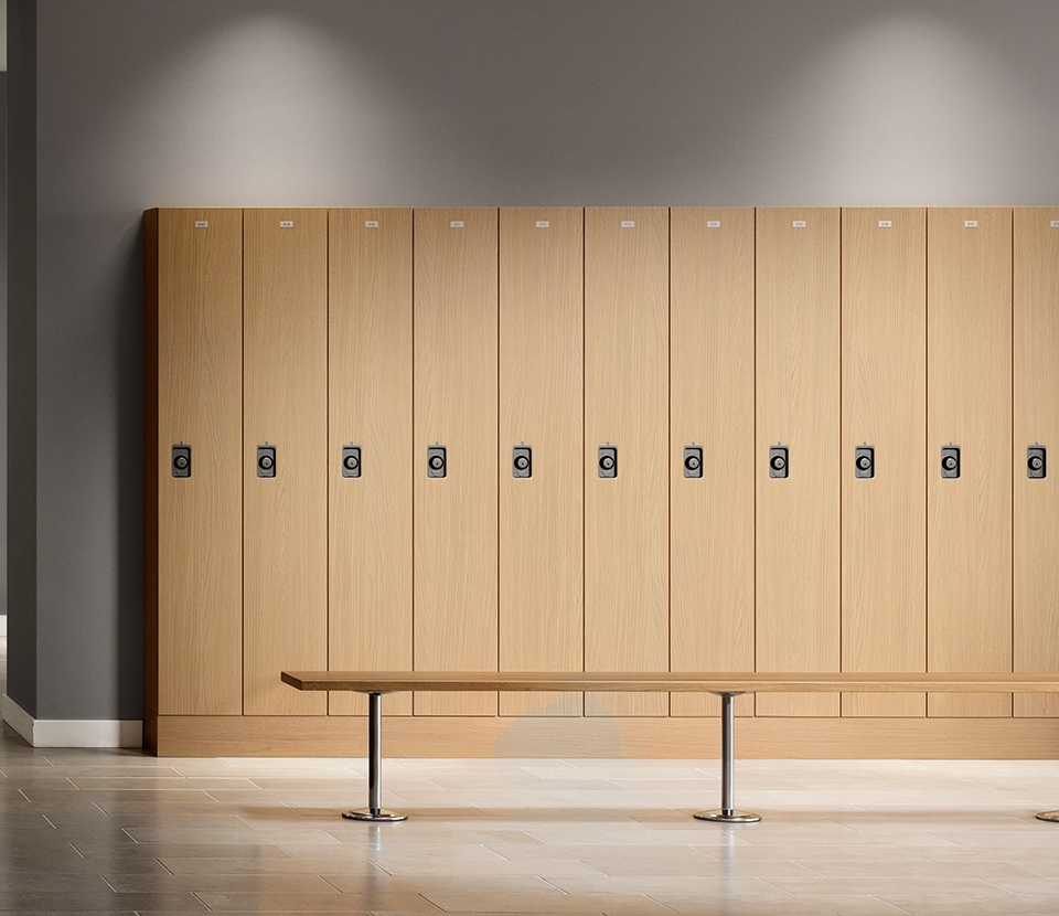 asi-vdp_website-homepage_buttons_lockers_480x415@2x